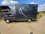 Paardencamionette, Particulier, Automaat, Te koop