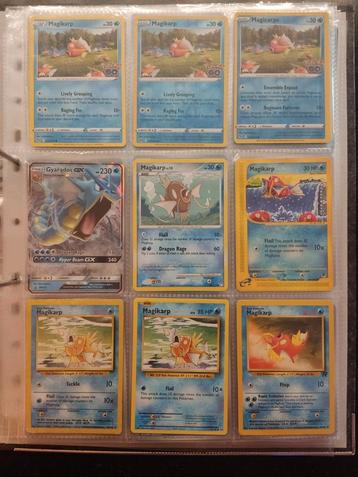 Setje magikarps/gyarados  beschikbaar voor biedingen