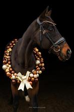 Halve stal voor mijn 17 jarig ruin, Dieren en Toebehoren, Paarden, Ruin