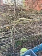 Hout, Tuin en Terras, Ophalen, Gebruikt