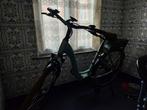 Riese muller elektrische fiets, Fietsen en Brommers, Ophalen, Nieuw