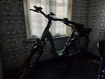 Riese muller elektrische fiets beschikbaar voor biedingen