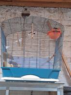 Kweekkoppel zibravinken, Dieren en Toebehoren