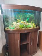 Aquarium juwel avec meuble et éclairage à led, Animaux & Accessoires, Comme neuf, Enlèvement