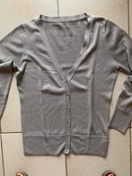 Zilvergrijs gilet Liberty Island maat L, Verzenden, Maat 42/44 (L)