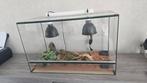 Nieuwe Terrarium  nooit gebruikt met alle toebehoren, Dieren en Toebehoren, Reptielen en Amfibieën | Toebehoren, Ophalen, Nieuw