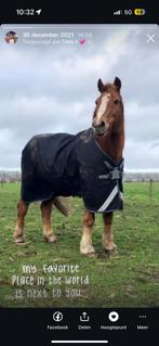 Verschillende paardendekens tekoop, Dieren en Toebehoren, Paarden en Pony's | Dekens en Dekjes, Ophalen, Zo goed als nieuw