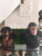 César et Koba bustes taille réelle silicone, Ophalen, Zo goed als nieuw, Dier