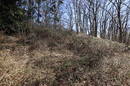 Bouwgrondstuk met helling en bomen, rechthoekige indeling., Immo, Buitenland, Duitsland, Kavel of Perceel, Landelijk