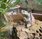 Prachtig tuinbeeldje Schildpad met hengel (6.2cm schildpad), Ophalen of Verzenden, Nieuw