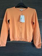 Oranje cardigan, legging,jeansbroek en rok maat 146 Nieuw, Nieuw, Meisje, Trui of Vest, Ophalen of Verzenden
