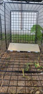 MARTERVAL, Ophalen of Verzenden