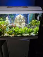 Aquarium compleet, Dieren en Toebehoren, Vissen | Aquaria en Toebehoren, Ophalen, Gebruikt