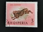 Albanie 1964 - animaux sauvages - lièvre, Enlèvement ou Envoi, Autres pays, Affranchi
