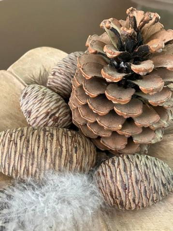 Herfstdecoratie op houten schaal. beschikbaar voor biedingen