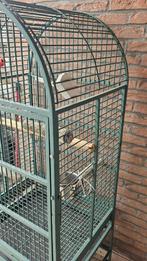 Papegaaienkooi, Dieren en Toebehoren, Ophalen, Gebruikt, Metaal, Vogelkooi
