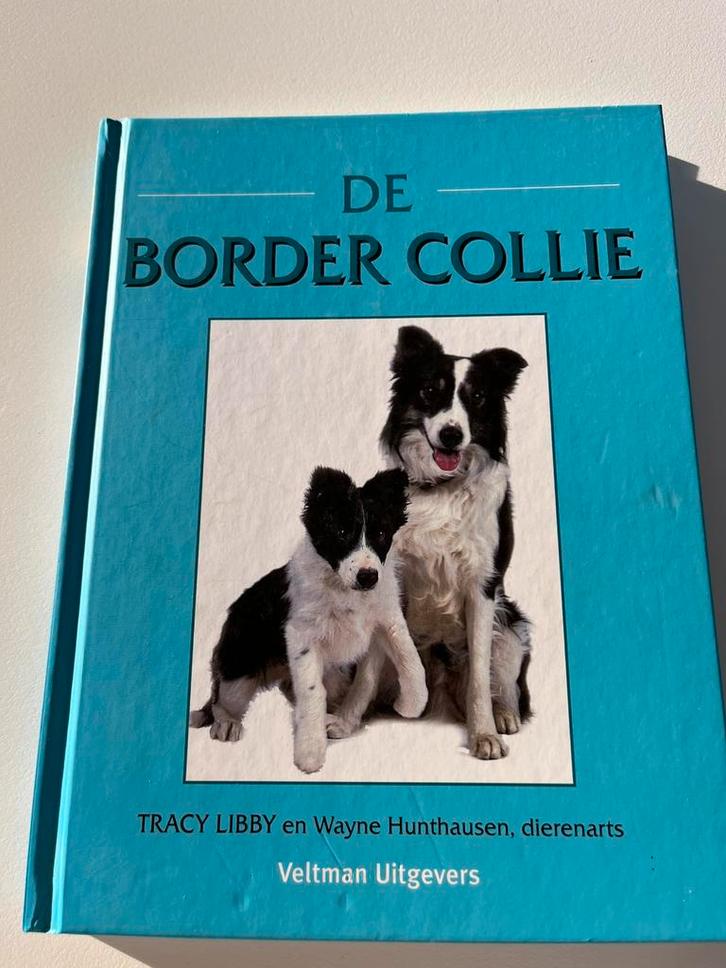 Boek - Tracy Libby - De Border Collie, Boeken, Dieren en Huisdieren, Zo goed als nieuw, Honden, Ophalen of Verzenden