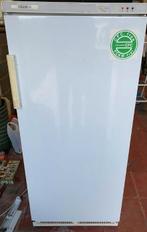 Diepvries, Electroménager, Congélateur, 120 à 140 cm, Enlèvement, Utilisé