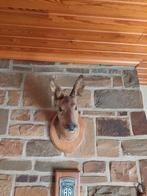 Trophée biche, Ophalen