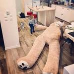 Enorme Teddybeer | 340 cm | GRATIS LEVERING, Verzamelen, Beren en Cherished Teddies, Overige merken, -, Verzenden, -
