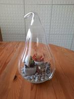 Glazen terrarium  - peer, Moins de 50 cm, Enlèvement ou Envoi, Autres couleurs, Comme neuf