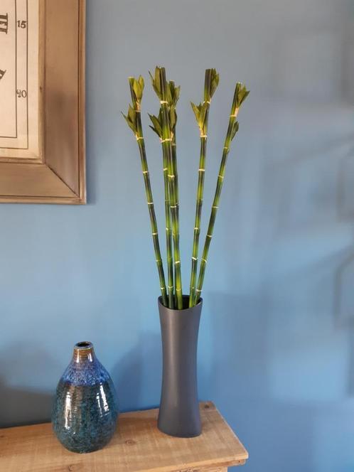 vase noir + Tiges bambou, Maison & Meubles, Accessoires pour la Maison | Vases, Neuf, Noir, Poterie ou Porcelaine, Enlèvement ou Envoi