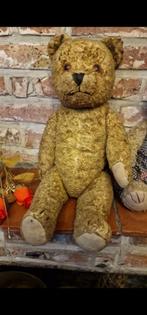 Verzamelaar beer, Verzamelen, Beren en Cherished Teddies, Ophalen, Gebruikt, Stoffen beer