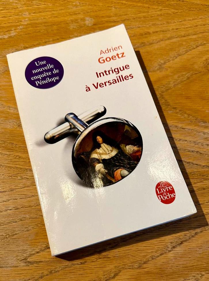 Adrien Goetz boek - Intriges in Versailles, Boeken, Romans, Zo goed als nieuw, Europa overig, Ophalen of Verzenden