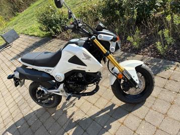 Honda Msx 125 beschikbaar voor biedingen