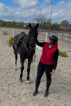 bijrijder aangeboden, Dieren en Toebehoren, Paarden