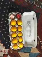 Bordspel - eierspel -