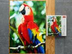 Puzzle 1000 pièces Trefl - Ara rouge, Honduras, Ophalen of Verzenden, 500 t/m 1500 stukjes, Zo goed als nieuw, Legpuzzel