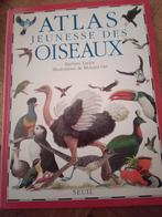 Livre atlas Jeunesse des oiseaux, Ophalen of Verzenden, Vogels