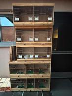 Kweekkooien, Dieren en Toebehoren, Ophalen, Gebruikt, Hout, Broedkooi of Kweekkooi