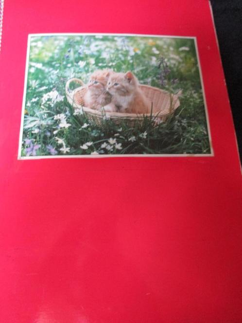 Plakboek met 77 poezen postkaarten, Verzamelen, Postkaarten | Dieren, Ongelopen, 1960 tot 1980, Hond of Kat, Ophalen of Verzenden