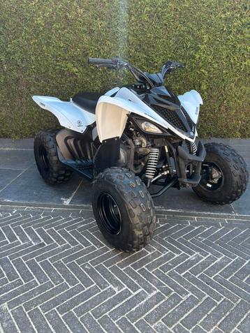 Yamaha Raptor YFM 90. Nieuwstaat, en recent groot onderhoud! beschikbaar voor biedingen