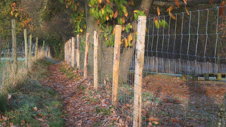 Landelijke Omheiningen, Tuin en Terras, Schuttingen, Nieuw, Hout, Ophalen of Verzenden