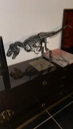 beeld van dinosaurus, Ophalen