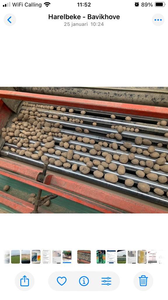 Aardappelen voeder, Articles professionnels, Agriculture | Aliments pour bétail, Enlèvement