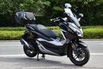HONDA - FORZA 300, Motoren, Scooter, 279 cc, Bedrijf, 1 cilinder