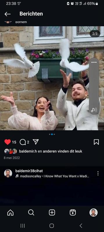 Te huur bruiloft duiven beschikbaar voor biedingen
