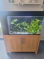 Aquarium en meubel met alle toebehoren, Dieren en Toebehoren, Ophalen