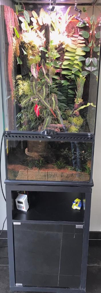 Paludarium entièrement aménagé, Dieren en Toebehoren, Reptielen en Amfibieën | Toebehoren, Gebruikt, Terrarium of Paludarium, Ophalen