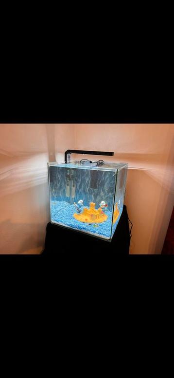 aquarium Qubiq 30L beschikbaar voor biedingen