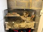 Hamster / gerbil terrarium, Souris, Moins de 60 cm, 75 à 110 cm, Cage