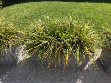 Jardinière Ecopot Paris, Enlèvement
