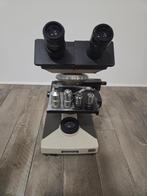 Olympus CH-2/CHS binoculaire functionele microscoop, Ophalen of Verzenden, Gebruikt, 400x tot 1000x, Biologische microscoop