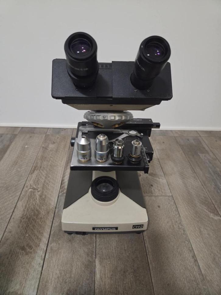 Olympus CH-2/CHS binoculaire functionele microscoop, Audio, Tv en Foto, Optische apparatuur | Microscopen, Gebruikt, Biologische microscoop