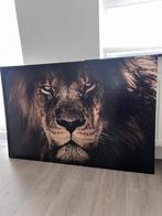 Canvas print leeuw, Huis en Inrichting, Woonaccessoires | Schilderijen, Tekeningen en Foto's, Ophalen, 50 tot 75 cm, 75 tot 100 cm