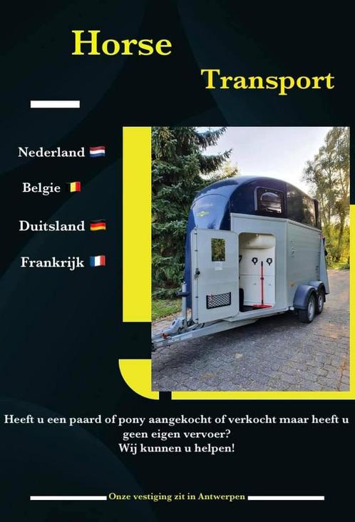 Paardentransport door heel EUROPA, Dieren en Toebehoren, Paarden en Pony's | Trailers en Aanhangwagens, Zo goed als nieuw, Ophalen of Verzenden